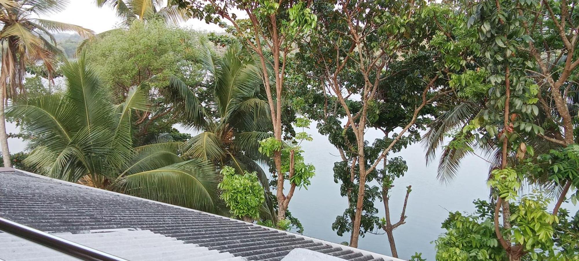 The Green Lagoon Villa Hikkaduwa Exteriör bild