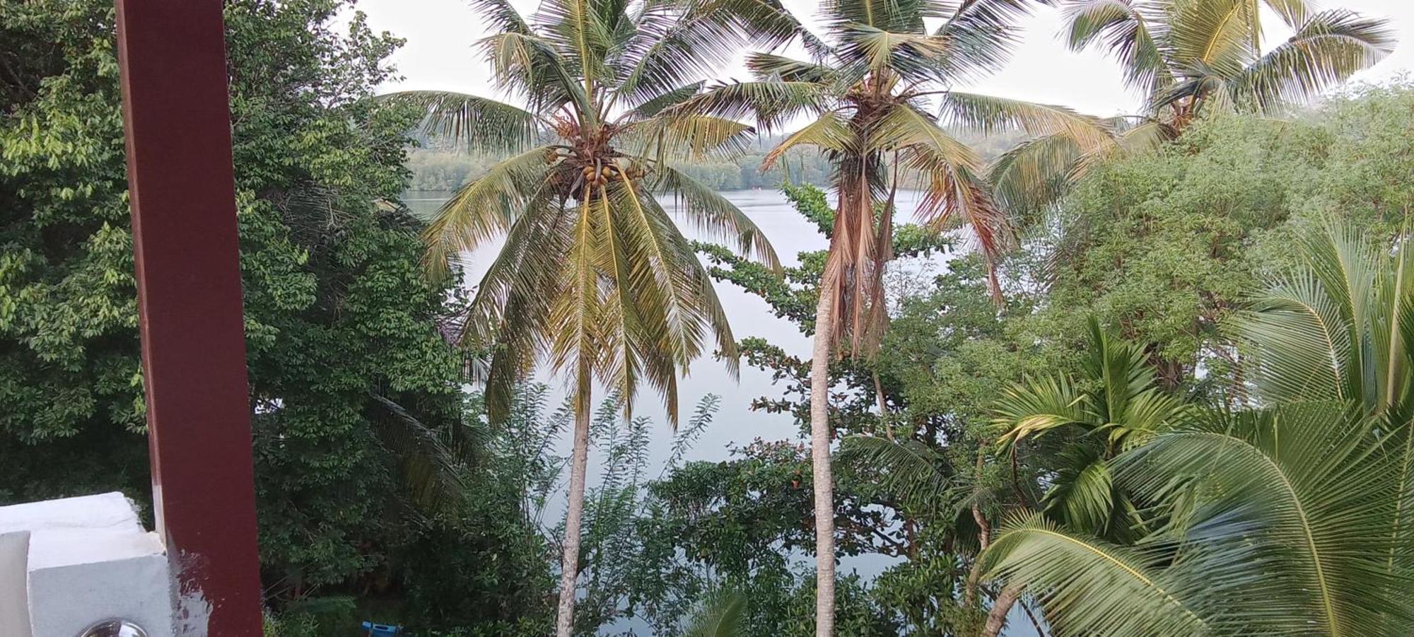 The Green Lagoon Villa Hikkaduwa Exteriör bild