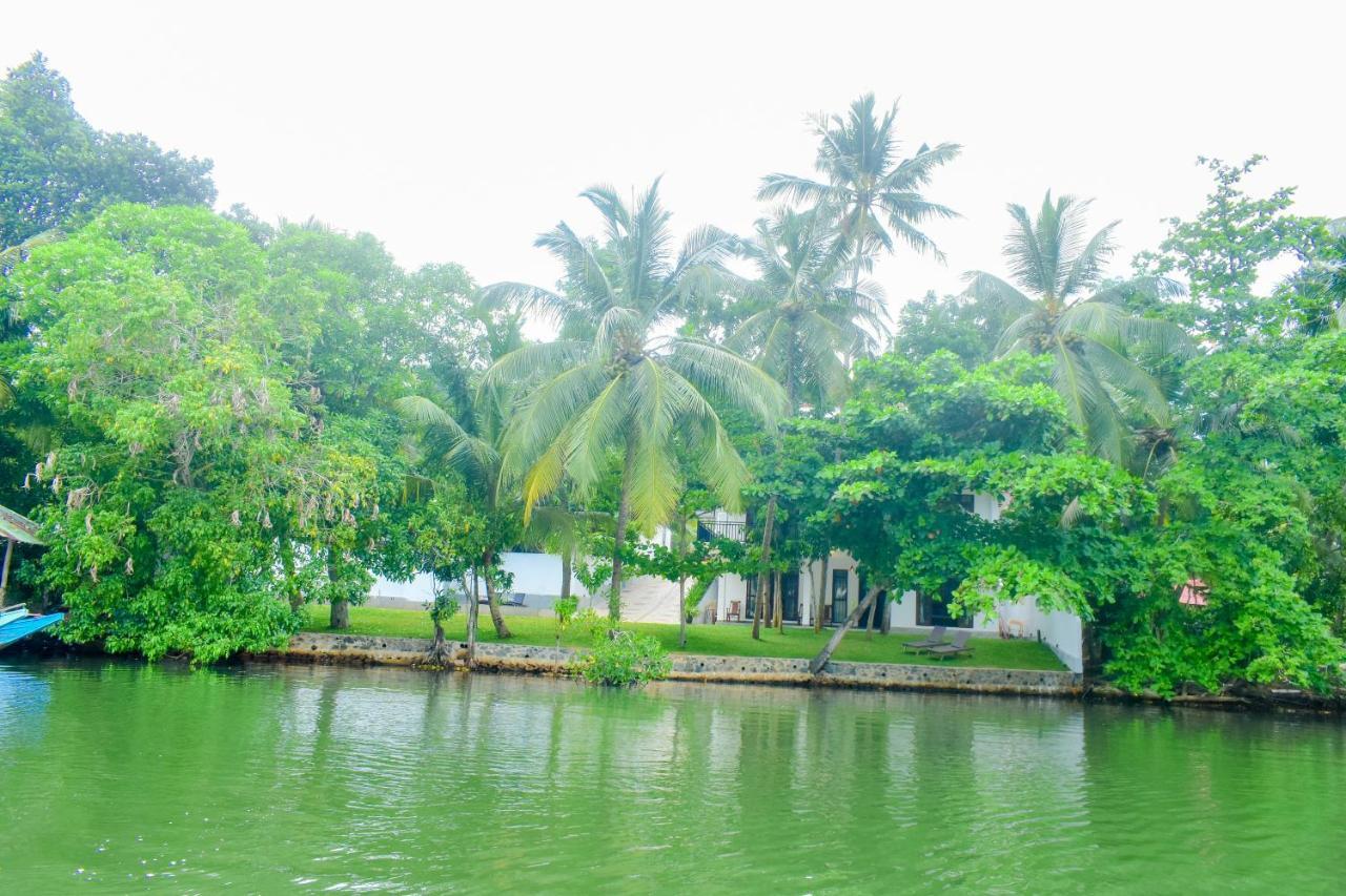 The Green Lagoon Villa Hikkaduwa Exteriör bild